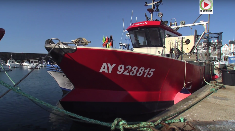 Quiberon et ses bateaux de peche