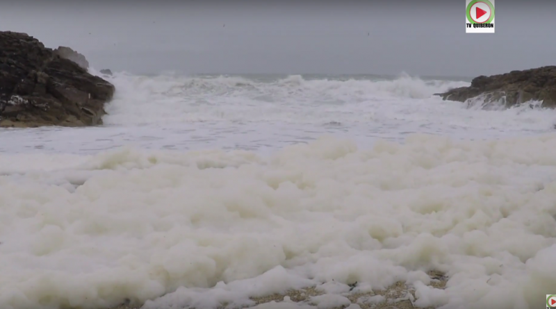 TV Quiberon 24/7: Tempete Marcel neige bretonne