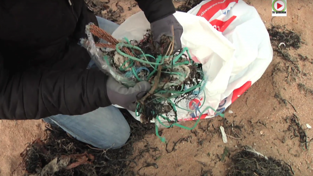 Plouharnel: Nettoyage plage Ste Barbe - TV Quiberon 24/7
