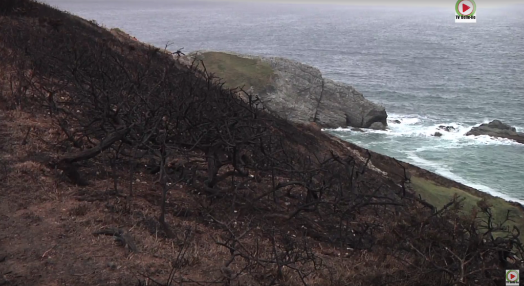 La Foudre frappe à Herlin - TVBI Belle-Ile