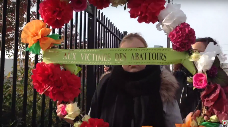 Quimperlé: Hommage Victimes des Abattoirs - Quimper Bretagne Télé