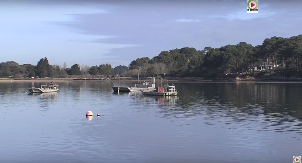 Sainte-Helene-sur-mer: La Ria d'Etel - Bretagne Télé