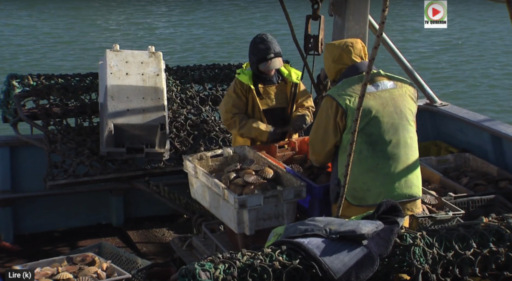 Soleil et Coquilles Saint-Jacques - TV Quiberon