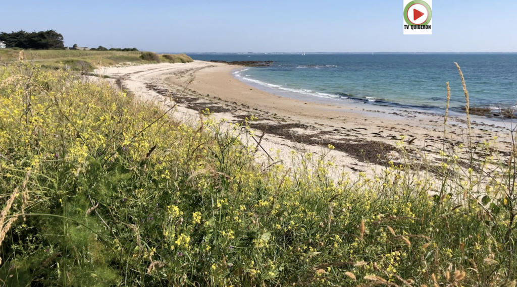 La plage de l'Aérodrome - TV Quiberon