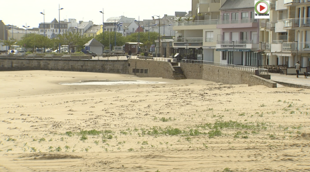 Sur la grande plage ça pousse - TV Quiberon