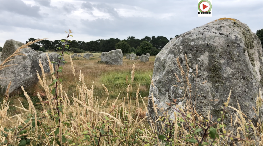 Menhirs et Végétation - Carnac Télé