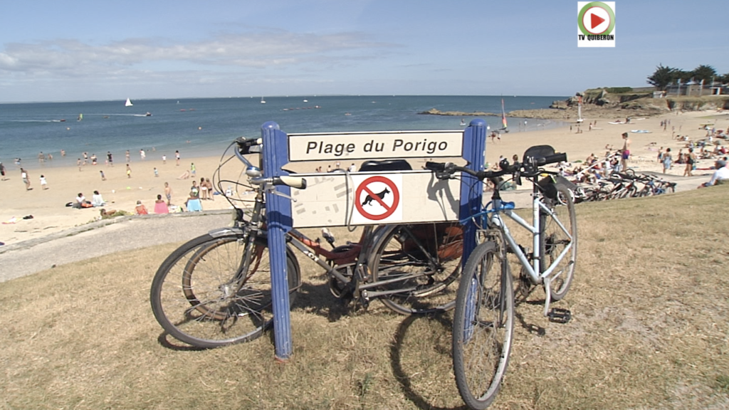Baignade à Port-Haliguen - TV Quiberon 24/7