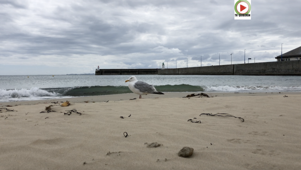 Fin des vacances scolaires - TV Quiberon 24/7