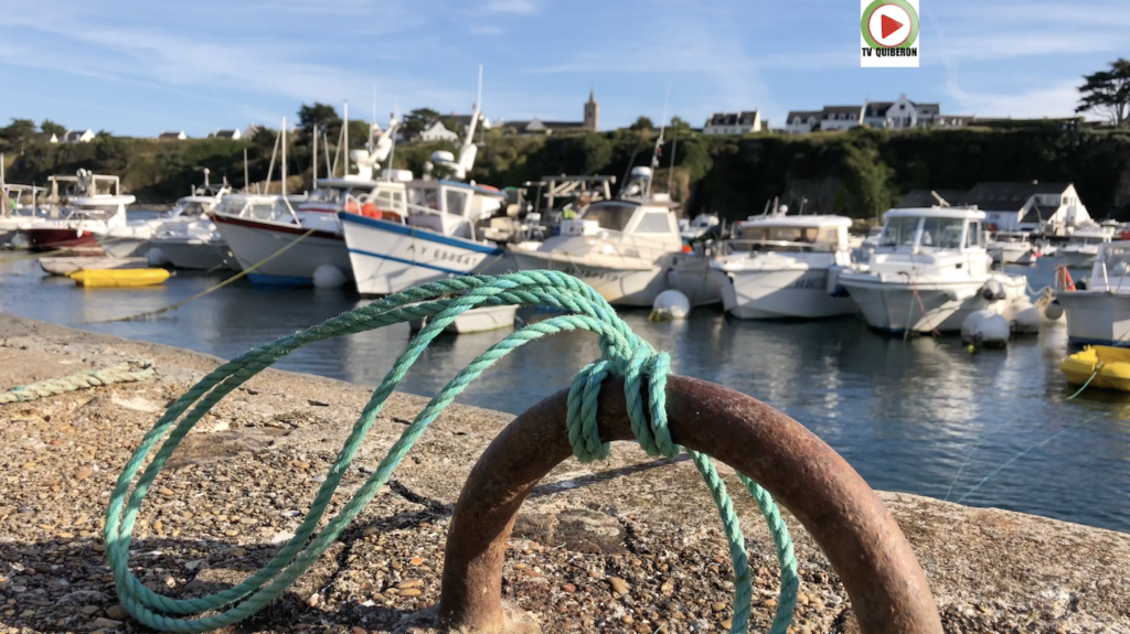 Ile de Houat été 2020 - Bretagne Télé
