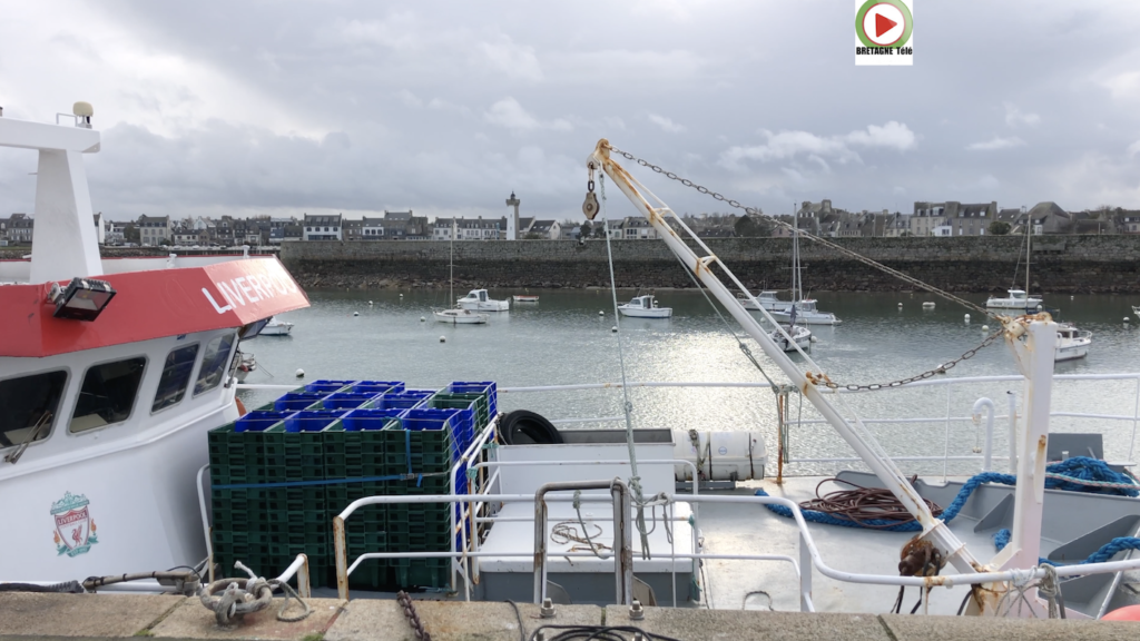 Roscoff | Belle fin d’Année 2020 - Bretagne Télé