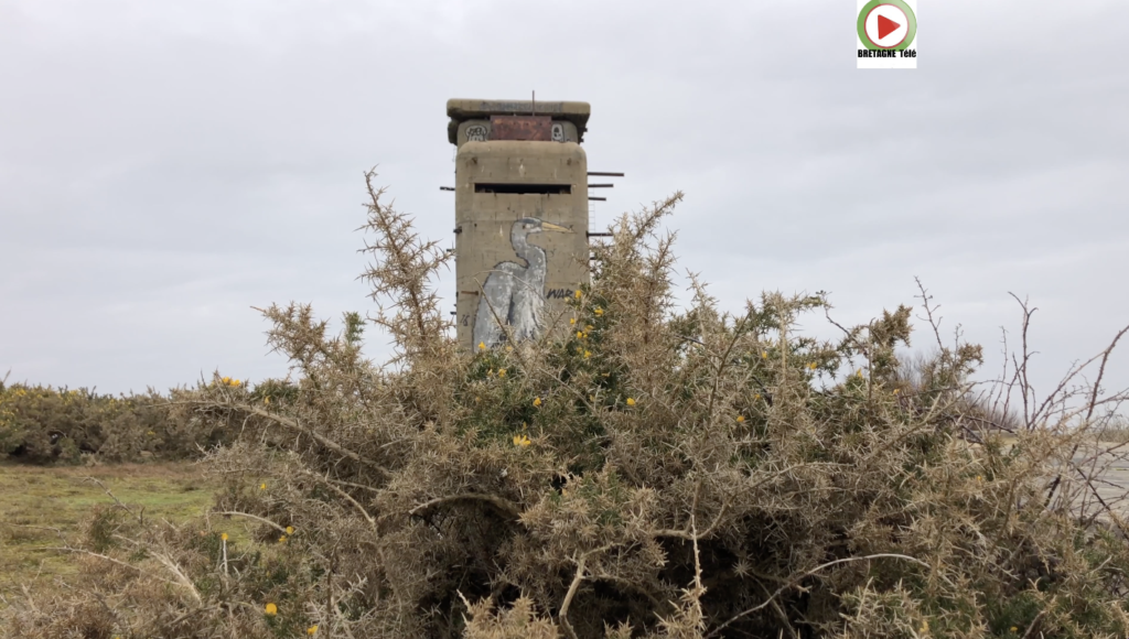 Plouharnel | Feu la Batterie du Bégo - Bretagne Télé