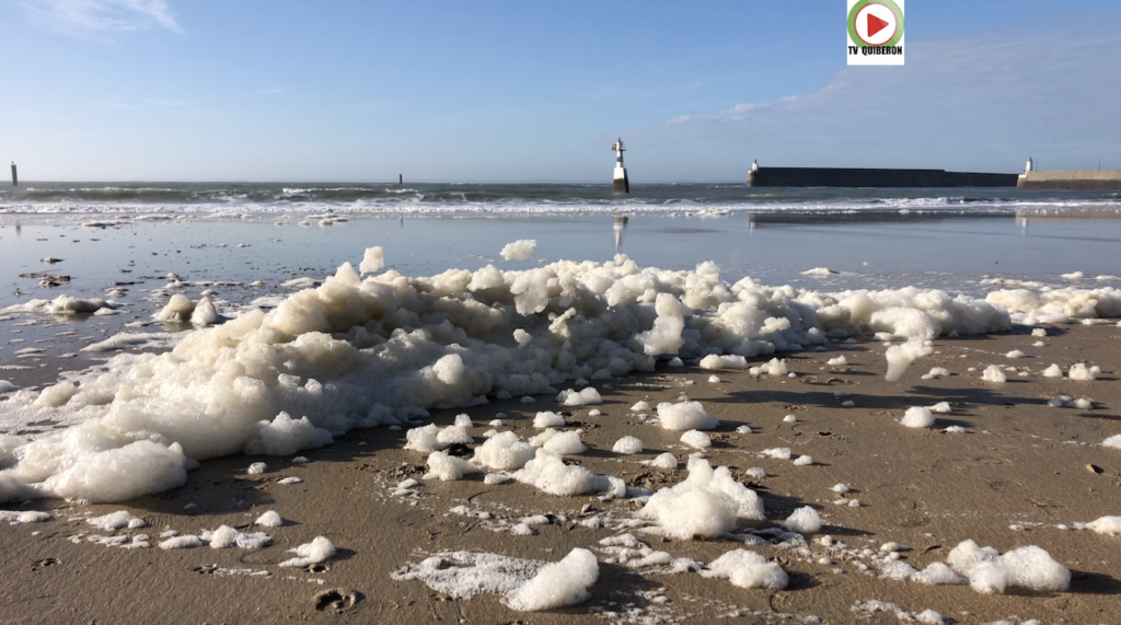 Quiberon | La Grande Lessive de la Plage - TV Quiberon