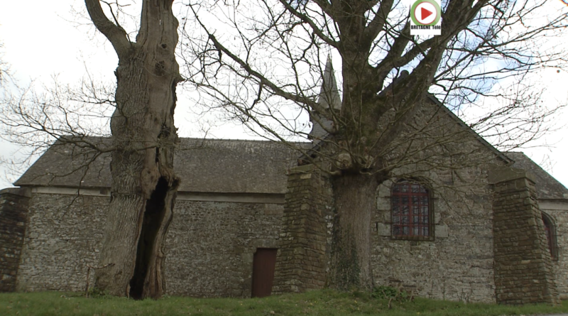 Néant-sur-Yvel | Les Chênes creux de kernéant - Bretagne Télé