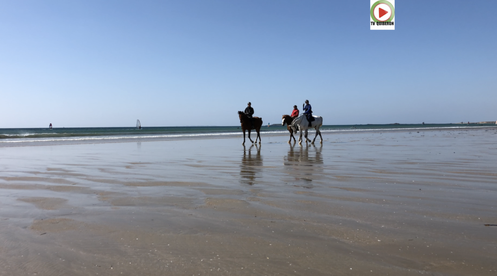 Plouharnel | Adieu la Plage - TV Quiberon 24/7
