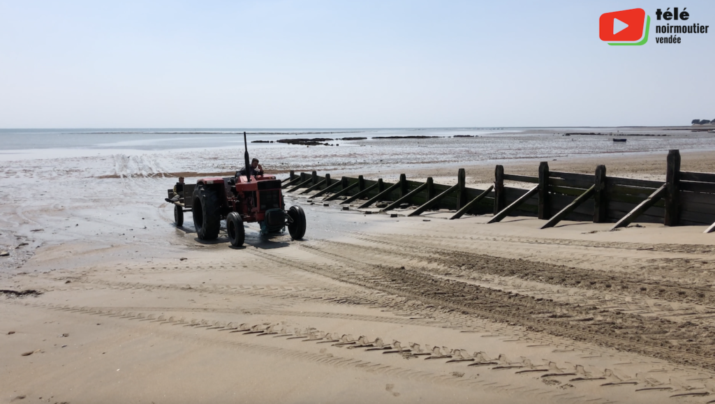 Noirmoutier | Les Coronavacances - Télé Noirmoutier Vendée