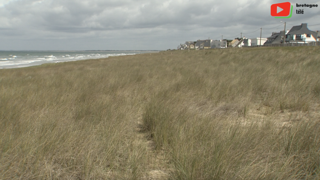 Saint-Pierre Quiberon | La Dune de Penthièvre - Bretagne Télé