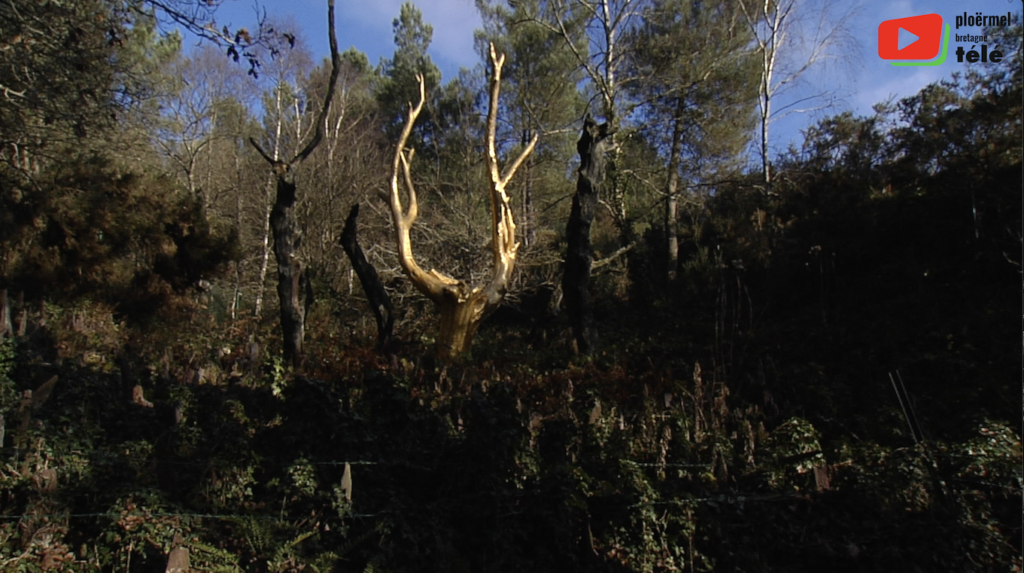 Paimpont | L'arbre d'Or du Val sans Retour - Ploërmel Bretagne Télé