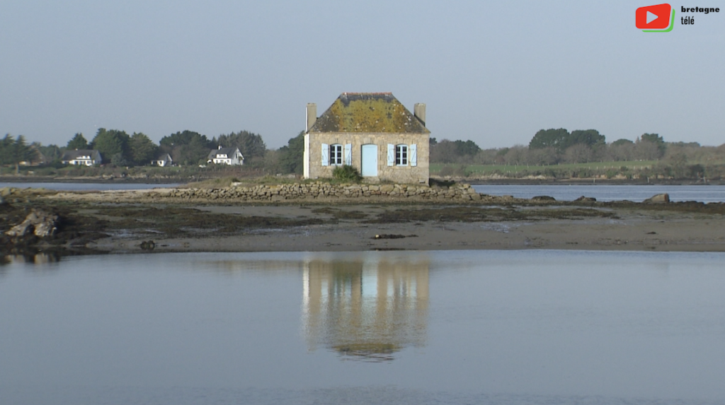 Belz | Jour de l'An à l'Ile de Saint-Cado - Bretagne Télé
