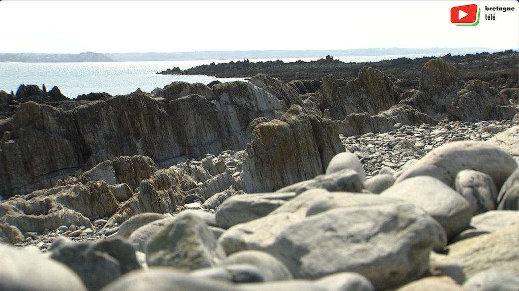 Trédrez-Locquémeau | La basse marée au port | Bretagne Télé