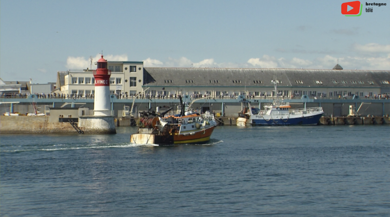Le Guilvinec | Le port a la pêche | Bretagne Télé