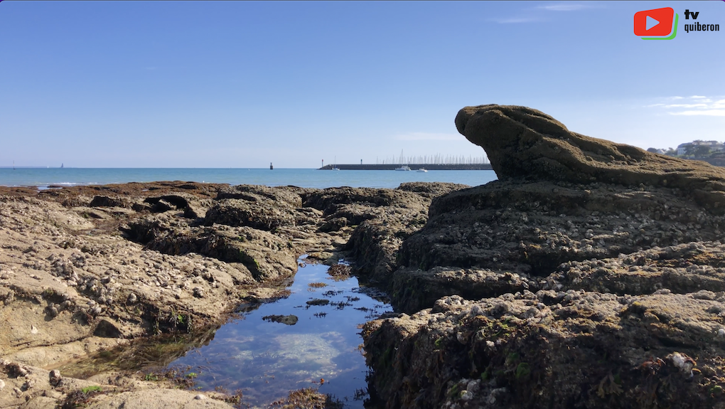 Quiberon | Kermorvan village paradisiaque | TV Quiberon 24/7