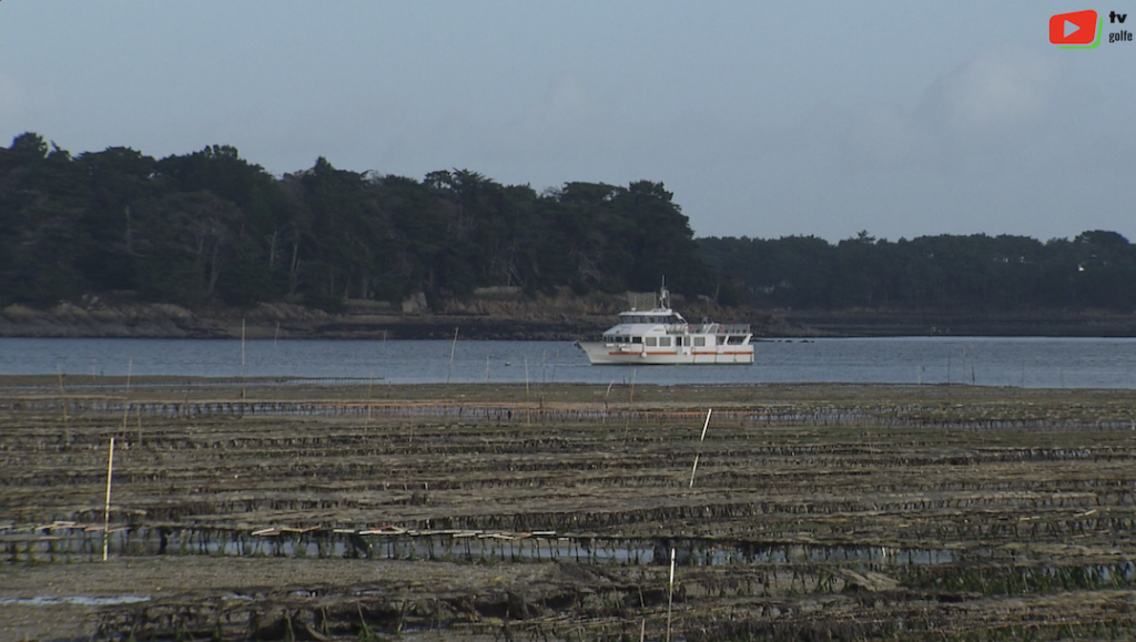 Golfe du Morbihan | Belle fin d'Automne | TV Golfe