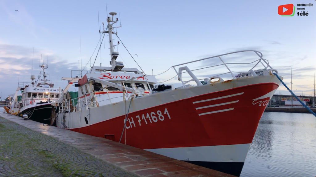 Cherbourg | Le Port normand a la pêche | Normandie Bretagne Télé