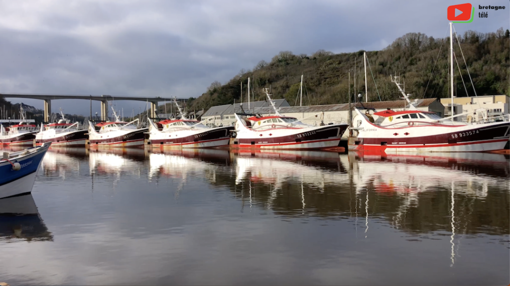 Plérin | Port de pêche de Saint-Brieuc Le Légué | Bretagne Télé