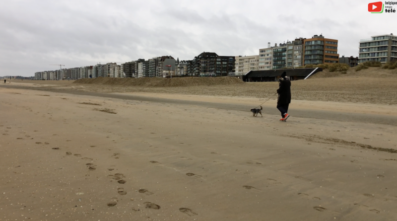 De Panne | La plage en Hiver | Belgique Bretagne Télé
