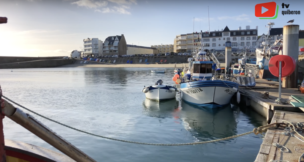Quiberon | Opération 'Ports Morts' | TV Quiberon 24/7