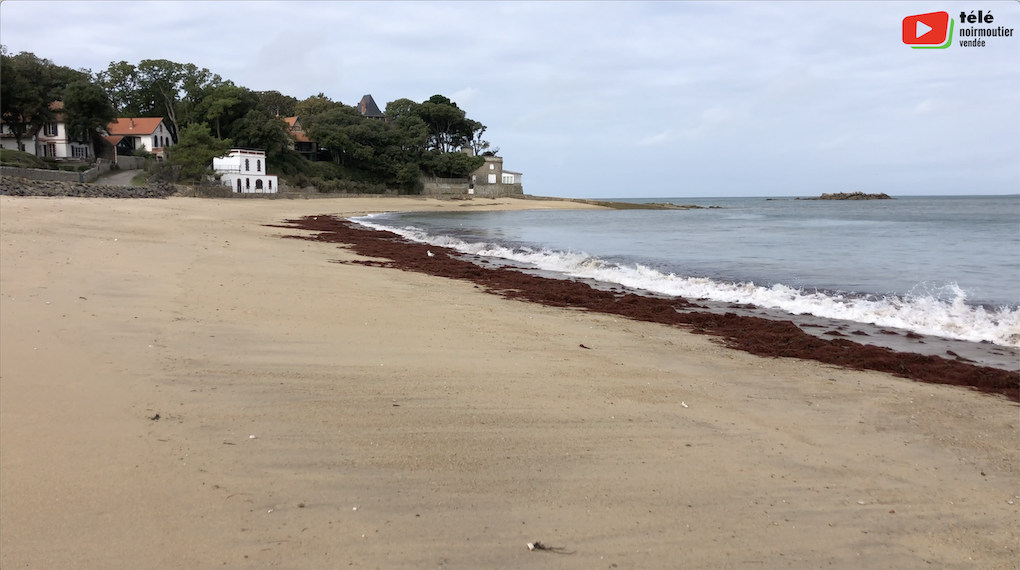 Noirmoutier | La fin de l'été 2023 | Noirmoutier Bretagne Télé