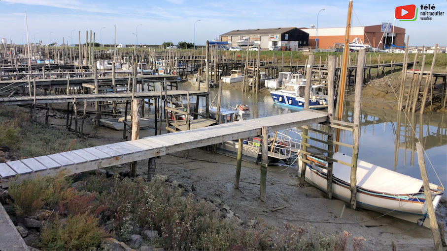 Beauvoir-sur-mer | Le petit port Chinois | Télé Noirmoutier Vendée