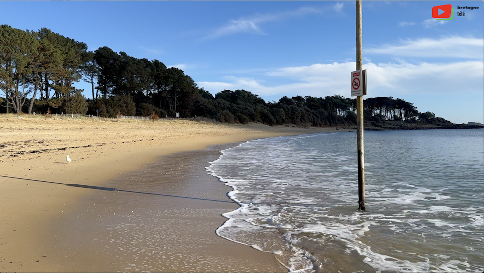 Saint-Philibert | Une Cité Balnéaire de Marins | Bretagne Télé