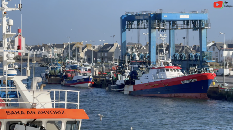 Le Guilvinec | Le Port en Hiver | Bretagne Télé