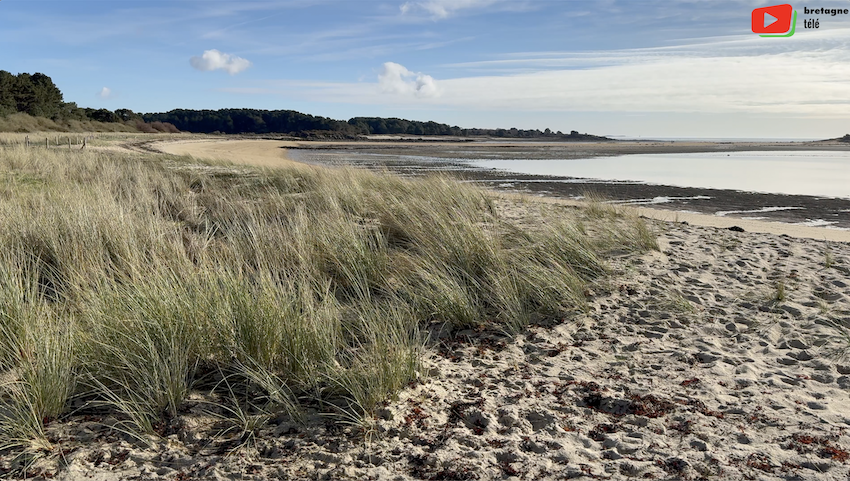 La Trinité-sur-mer | La Plage du Men Du en Hiver | Bretagne Télé