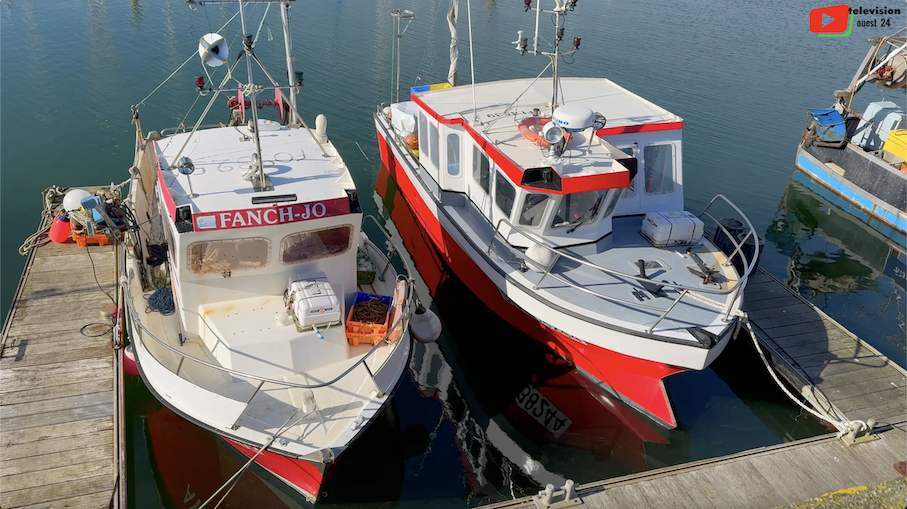 Quiberon | Les Bateaux de Pêche | Ouest 24 Télévision