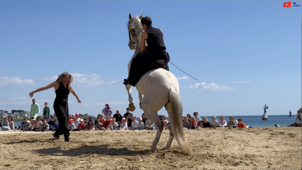 Quiberon | Cheval comique sur la Plage | TV Quiberon 24/7