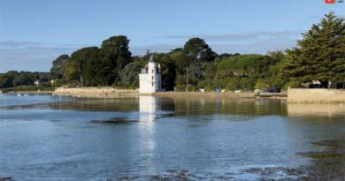 Golfe du Morbihan | Les Secrets d'Arradon | TV Golfe