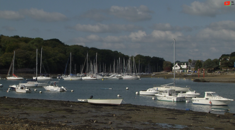 Golfe du Morbihan | Vannes Conleau en Automne | TV Golfe