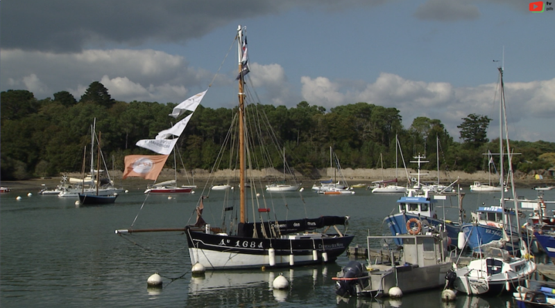 Golfe du Morbihan | Séné paradis en Automne | TV Golfe