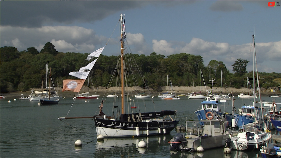 Golfe du Morbihan | Séné paradis en Automne | TV Golfe