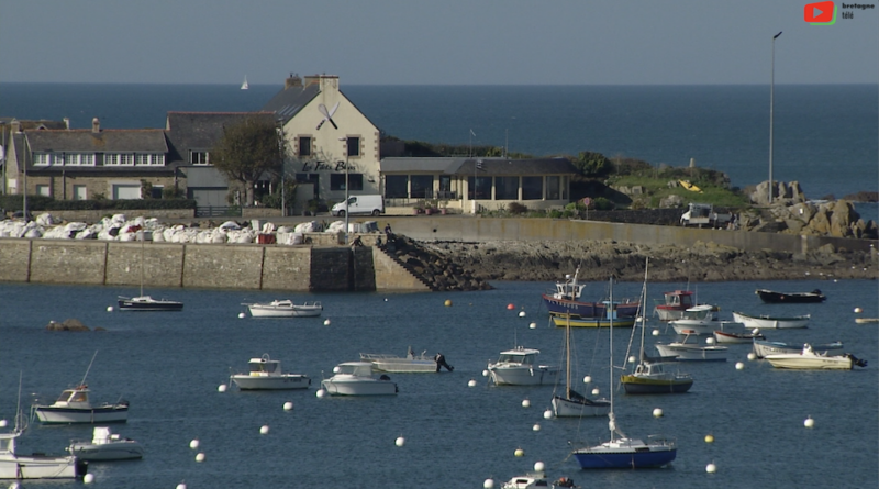 Trédrez-Locquémeau | Le Port en Automne | Bretagne Télé