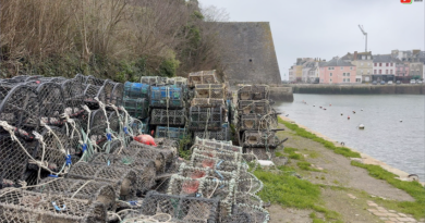 Belle-Île-en-Mer | Le Palais Hors-Saison | Belle-Île Télévision TVBI