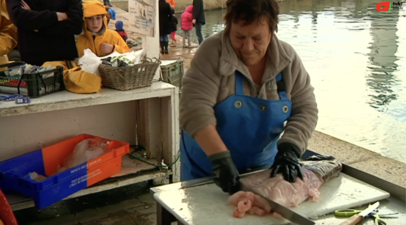 Belle-Île-en-Mer | Sauzon Pêche Miraculeuse 2013 | Belle-Île Télévision TVBI