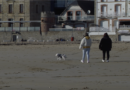 Quiberon | Les Toutous de la Playa