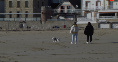 Quiberon | Les Toutous de la Playa