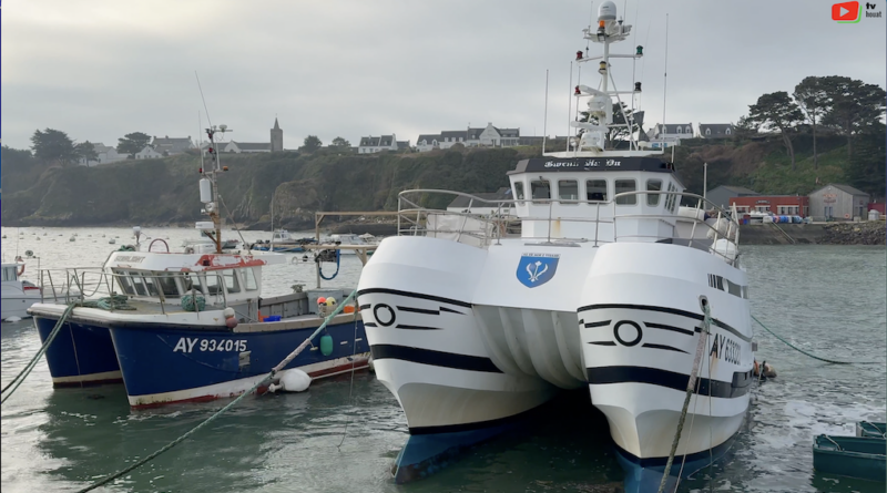 Île de Houat | La Vie du Port en Hiver | Île de Houat TV