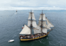 Golfe du Morbihan | Vol au dessus des Grands Voiliers