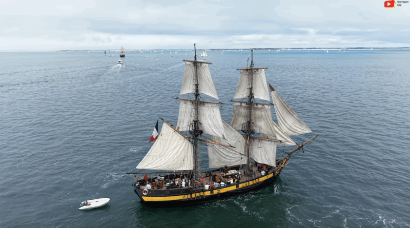 Golfe du Morbihan | Vol au dessus des Grands Voiliers