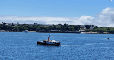 Île de Houat | Semaine du Golfe Morbihan 2025 | Île de Houat TV